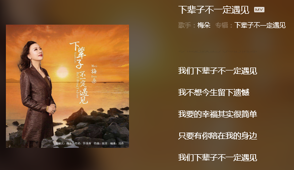 我们下辈子不一定遇见这是什么歌