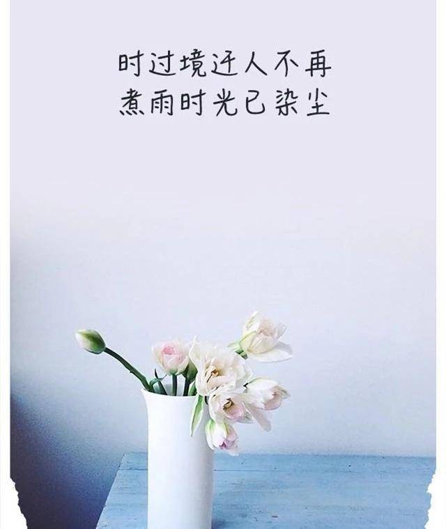 人生这杯酒怎么喝都是醉这是什么歌