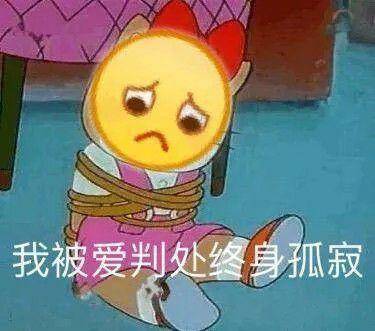 我被爱判处终身孤寂是什么歌