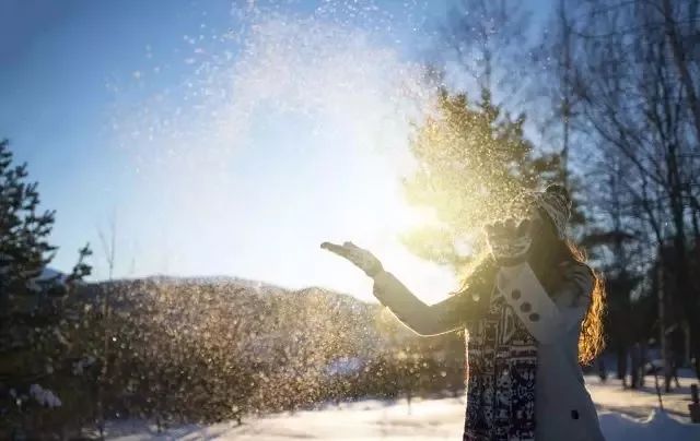 等待花开却忘了世事无常是什么歌