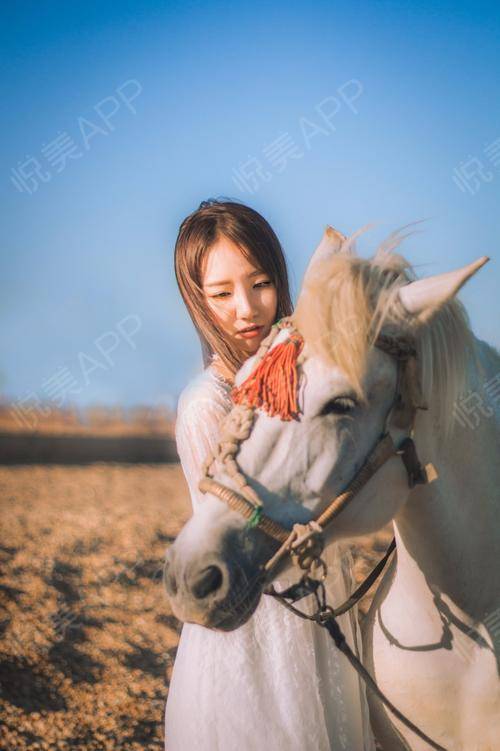 我身骑白马 走三关是什么歌