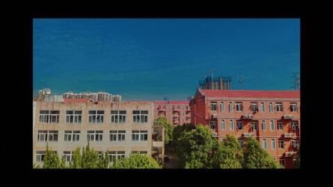 总以为爱是全部的心跳是什么歌