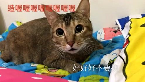 一个男的唱的喔喔喔喔喔喔什么歌曲