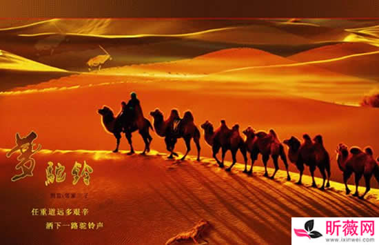 攀登高峰望故乡黄沙万里长什么歌