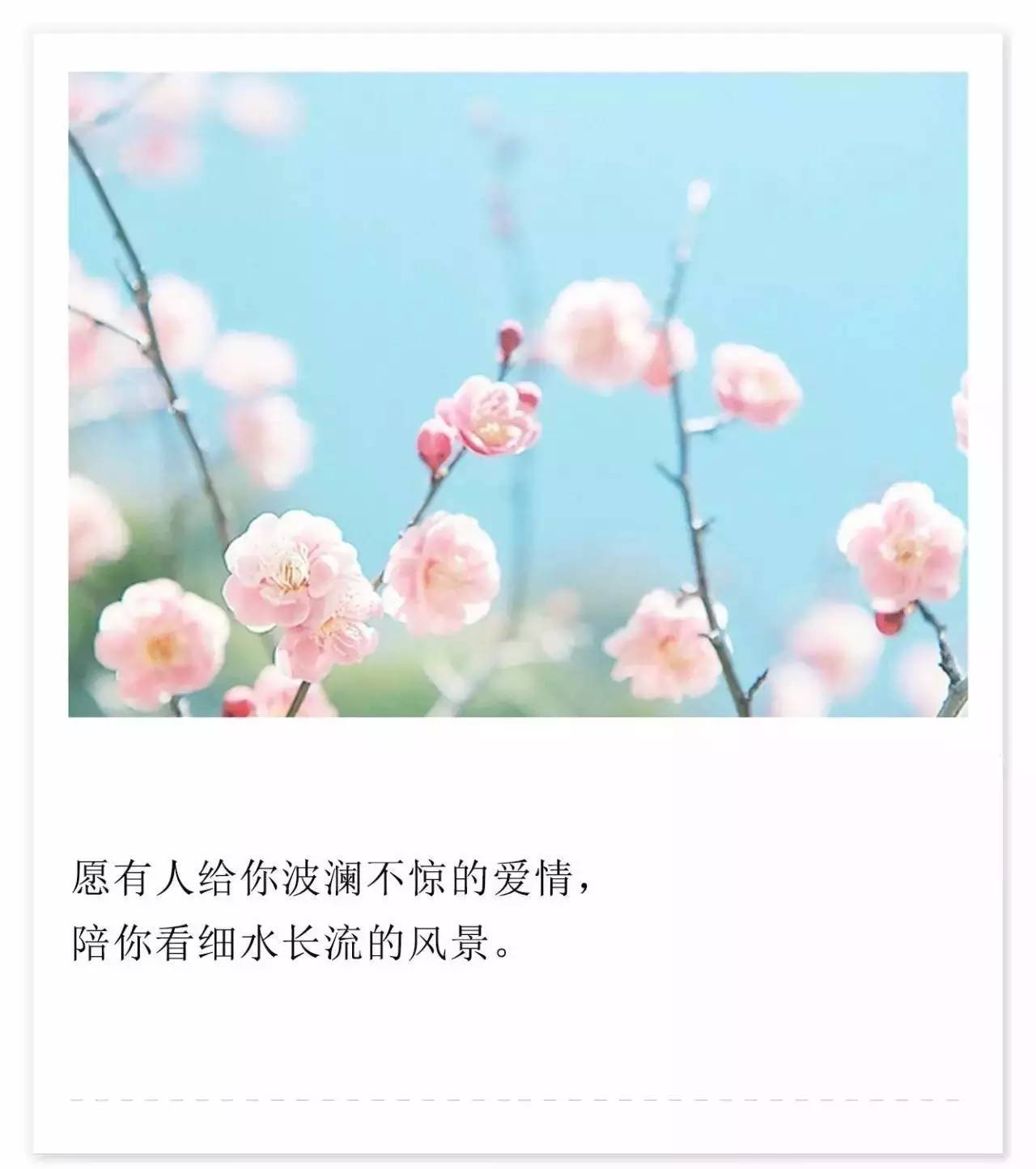 春风再美也比不上你的笑是什么歌