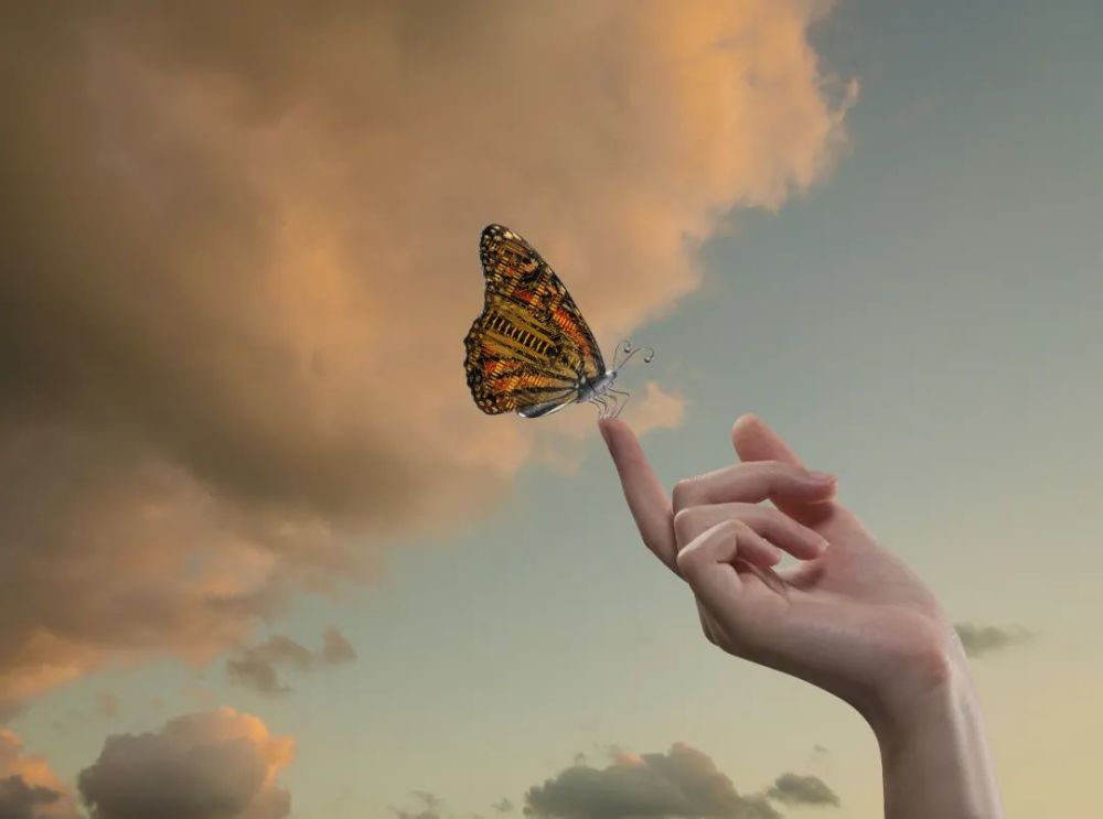 爱你不跪的模样是什么歌