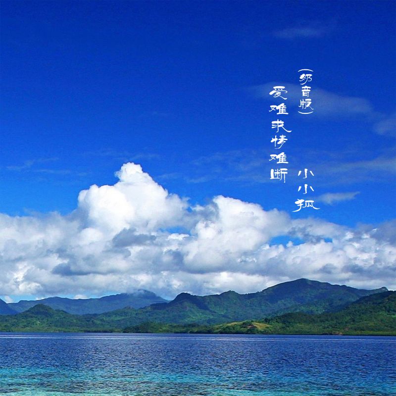 爱难求情难断是什么歌名