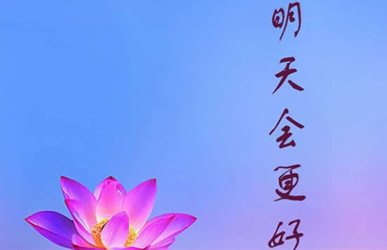 春风不解风情,吹动少年心什么歌