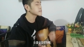 醉里挑灯看剑妾舞阑珊是什么歌