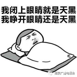 猪你的鼻子有两个孔是什么歌