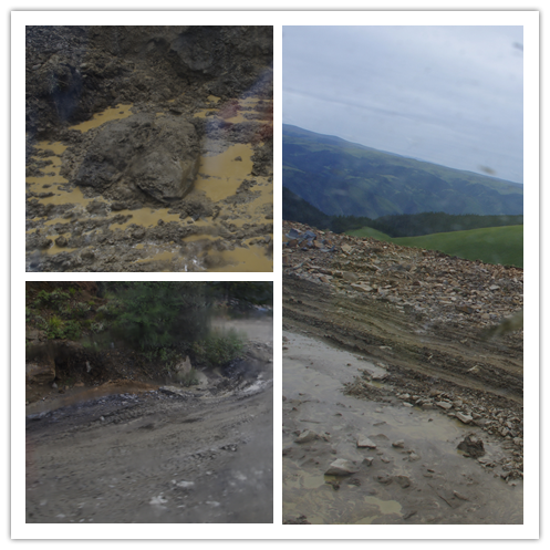 一路从泥泞走到了美景是什么歌