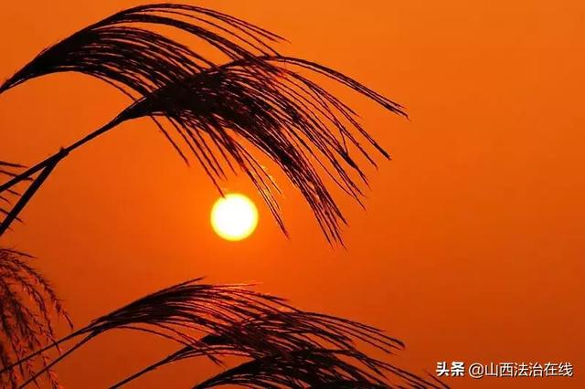 风轻轻吹过 雨轻轻飘落是什么歌曲