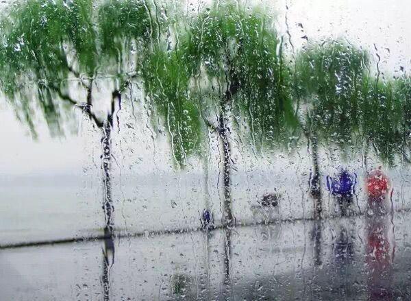 寒风吹起细雨迷离是什么歌