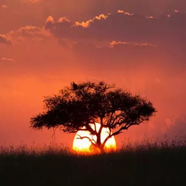 苍茫茫的天涯路是你的漂泊什么歌