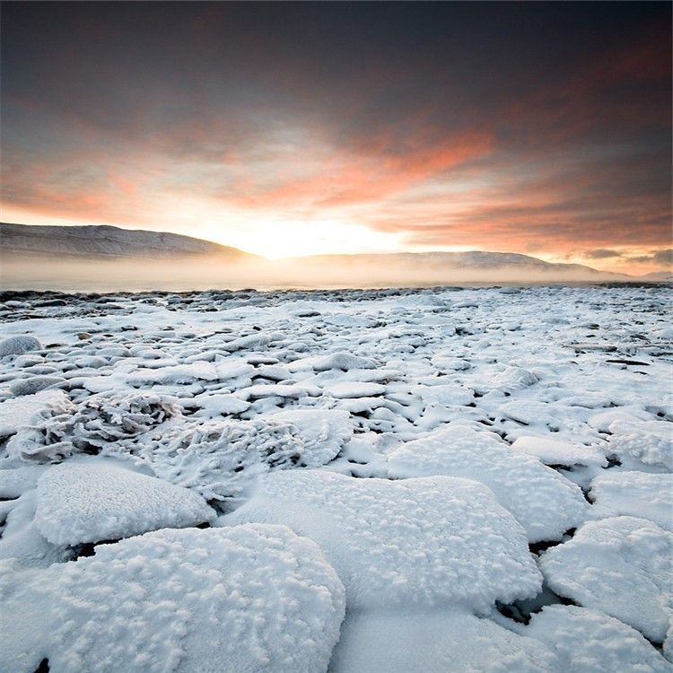 骑上我的小骆驼是什么歌