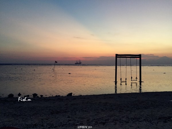 我像小船寻找港湾是什么歌