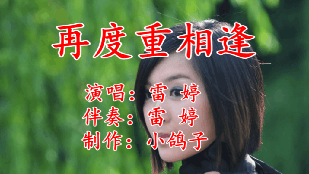 为什么我们相遇网络是什么歌