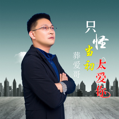 只怪当初真的太爱你是什么歌