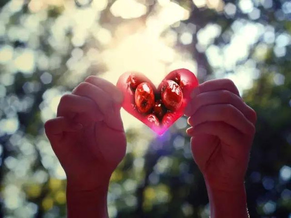 我一个人独自守着我的梦是什么歌