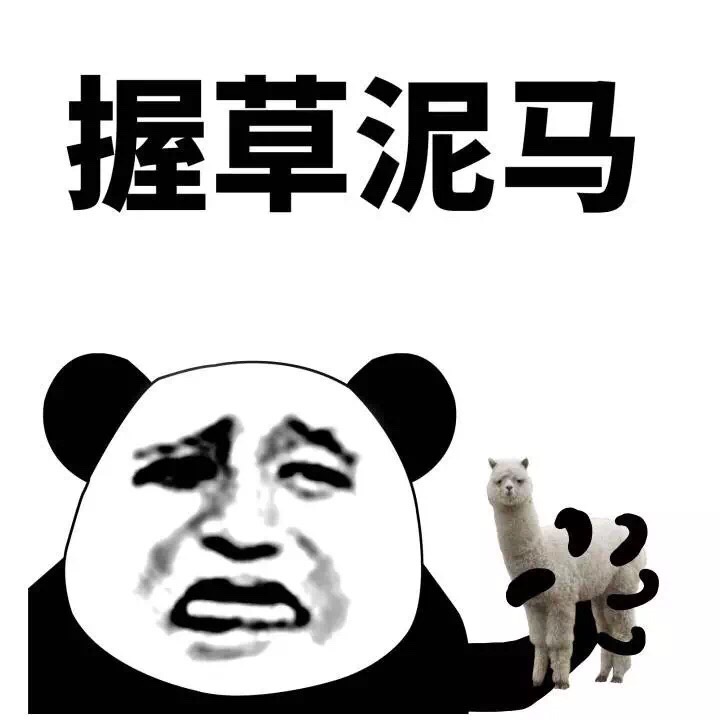 我认了真你却转了身这是什么歌