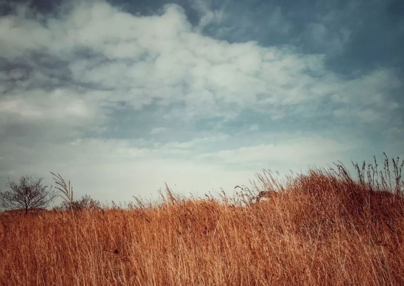 我走在那个下雨的秋天是什么歌