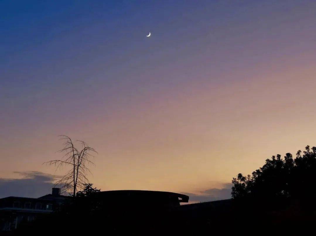 七月的风八月的雨什么歌