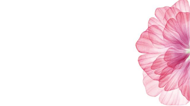 花谢花开,春去秋来是什么歌