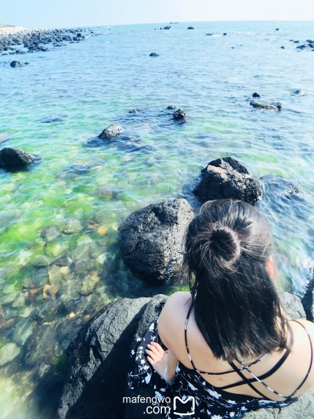 海草海草随风飘摇什么歌