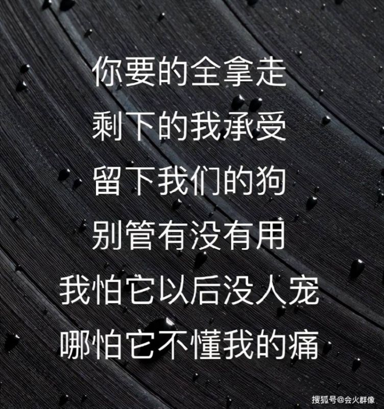 祝你踏过千层浪是什么歌