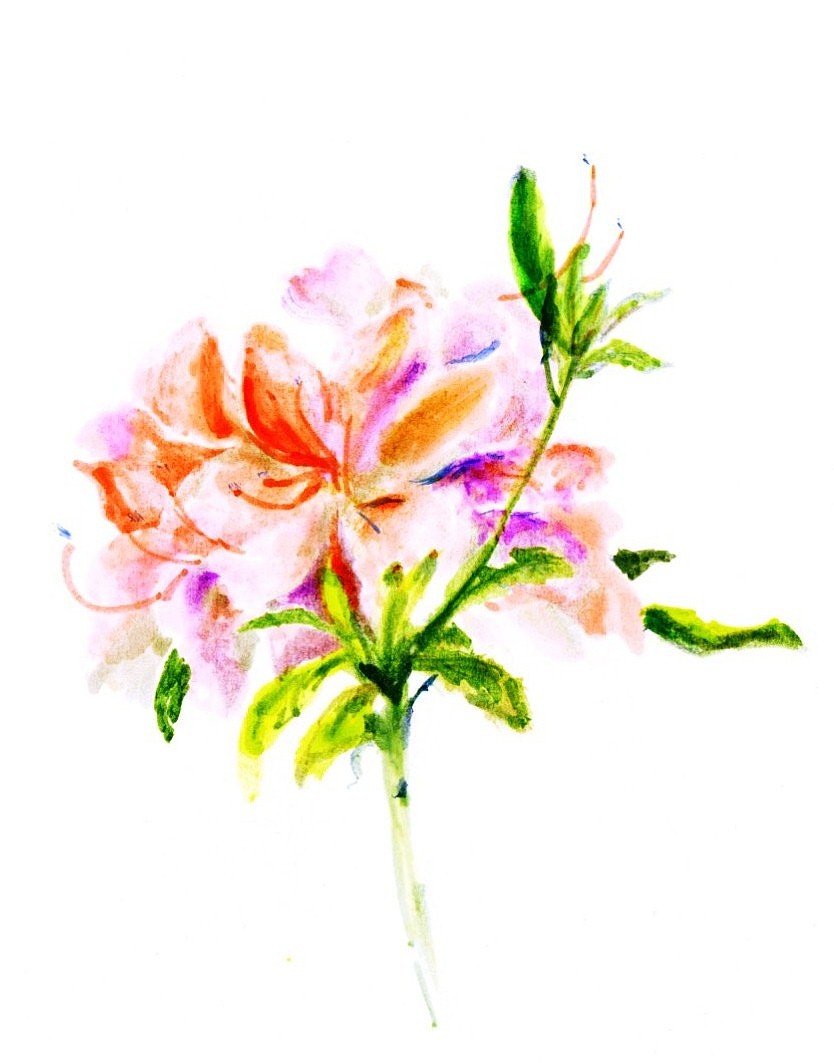 春天暖风吹是什么歌