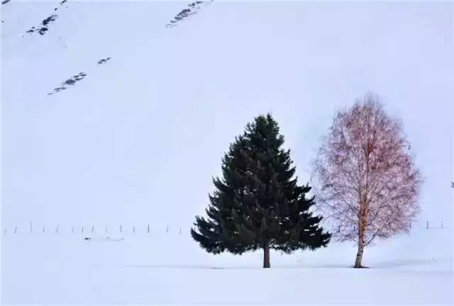 两只小船儿孤孤零零是什么歌