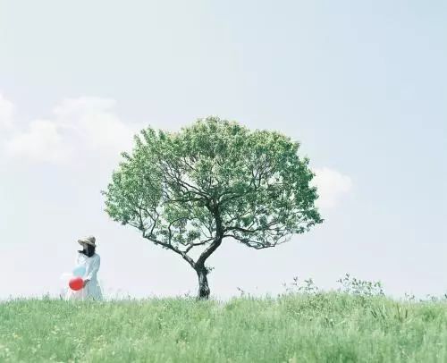 一封家书落下相思泪是什么歌