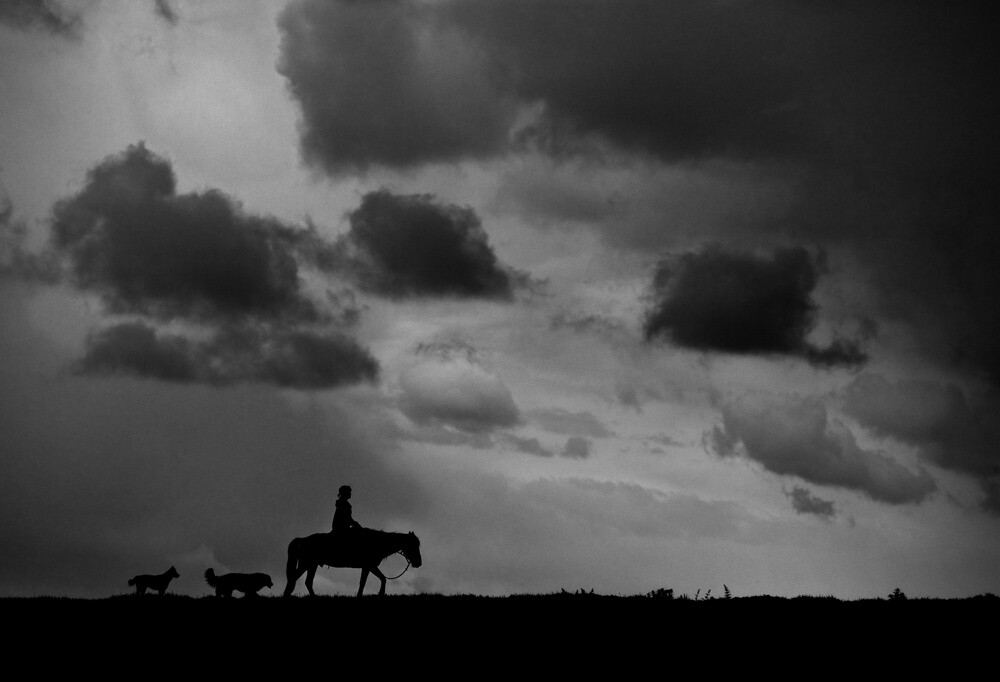 看那西风骑瘦马是什么歌曲