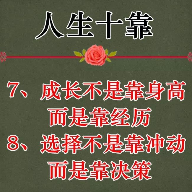 无怨无悔爱一场是什么歌