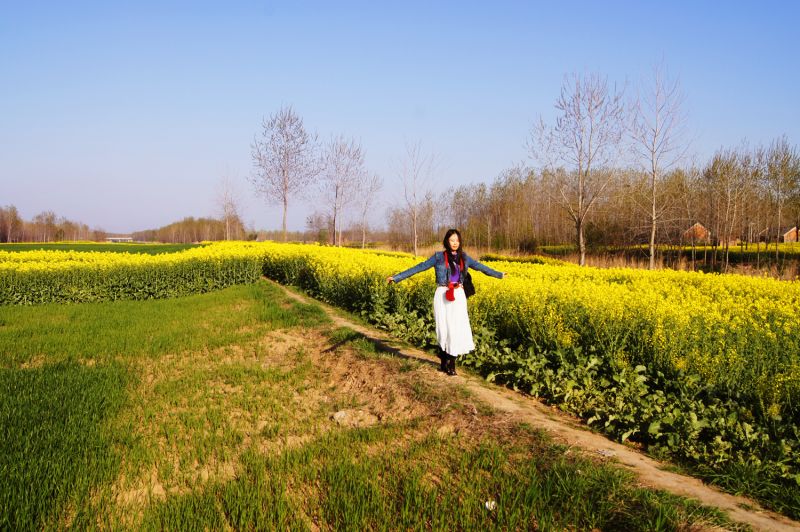 走在乡间的小路上是什么歌