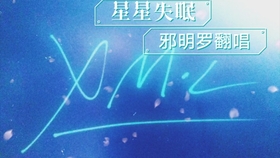 我想要踏着梦再追着风是什么歌