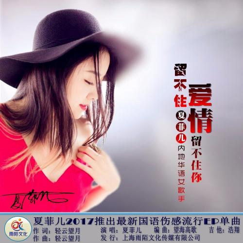 留不住爱,留不住情是什么歌?