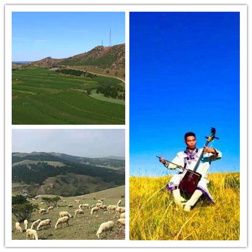 含泪告别阿爸阿妈是什么歌