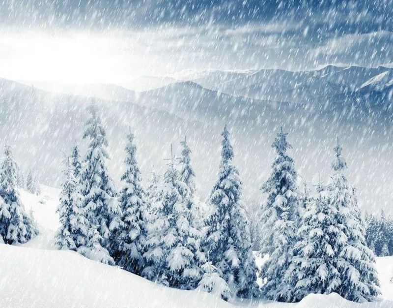 飘飘洒洒与风随是什么歌