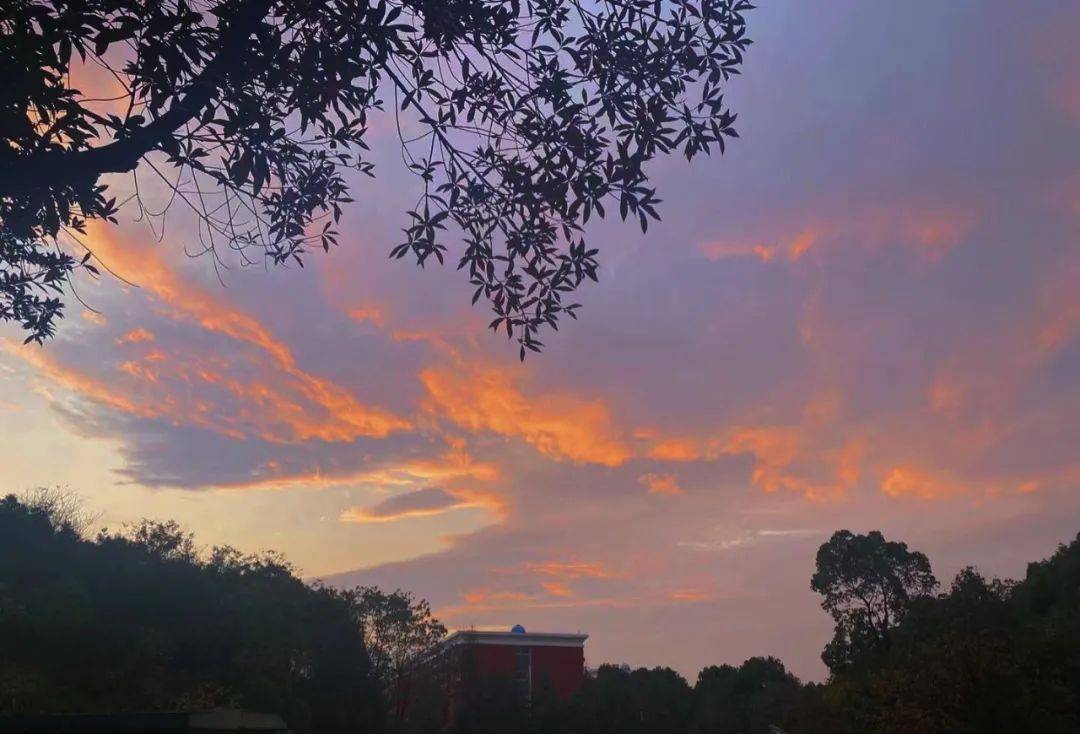 唱日出唱日落是什么歌