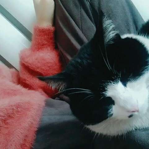 万般留恋看着天边似在眼前是什么歌