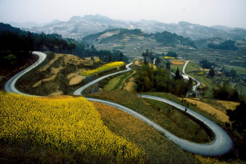 大山的子孙哟是什么歌