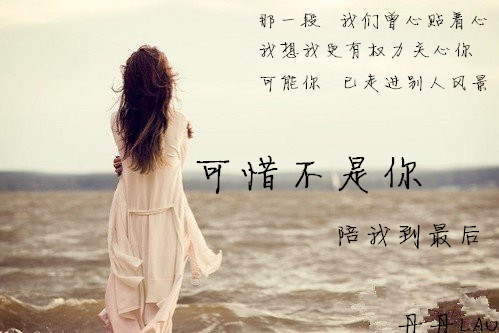 可惜不是你陪我到最后是什么歌