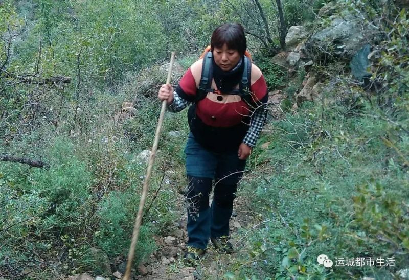 也曾迷茫也曾彷徨是什么歌