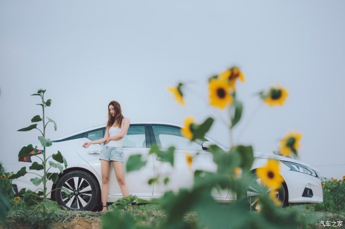 六月的风七月的雨是什么歌