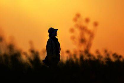 你是我今生永远的痛是什么歌