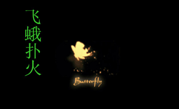 为何还要飞蛾扑火是什么歌