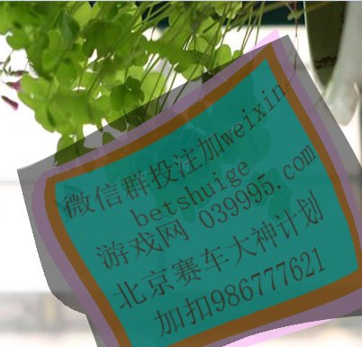 你别让我猜我猜不明白是什么歌