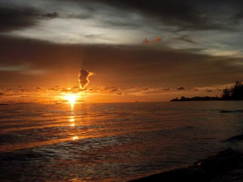 生活仍碌碌无为是什么歌