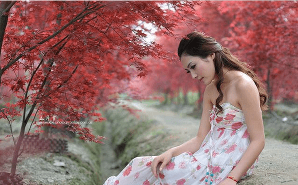 看世事无常看沧桑变化是什么歌